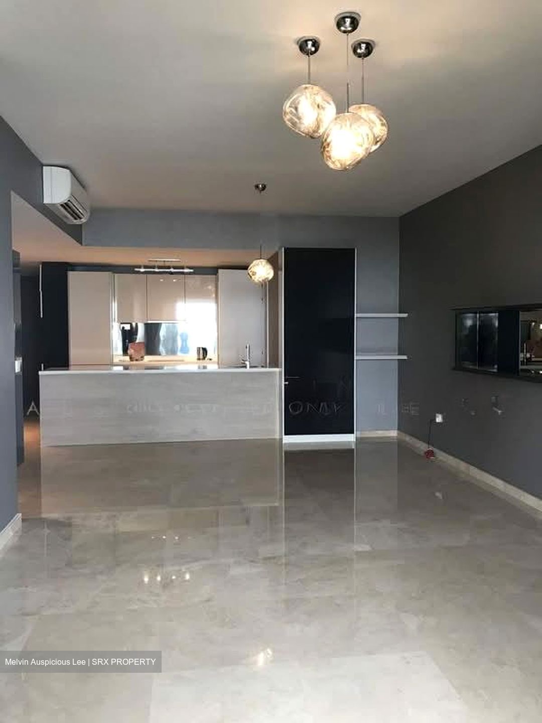 V On Shenton (D1), Apartment #592977711
